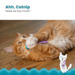 Catnip Chew Mice Dental Toy Set - 2 Pack
