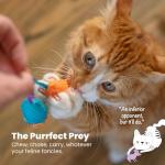 Catnip Chew Mice Dental Toy Set - 2 Pack