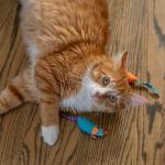 Catnip Chew Mice Dental Toy Set - 2 Pack