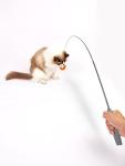 Interactive Cat Toy Gift Pack - 5 Fun Toys
