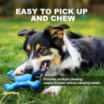 Tough Nylon Dog Chew Toys for Aggressive Chewers