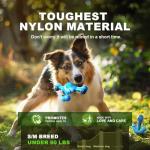 Tough Nylon Dog Chew Toys for Aggressive Chewers