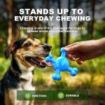 Tough Nylon Dog Chew Toys for Aggressive Chewers