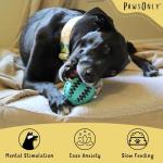 PawsOnly Interactive Dog Treat Dispenser Ball