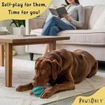 PawsOnly Interactive Dog Treat Dispenser Ball