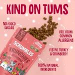 Scrumbles Turkey Cat Treats for Christmas 60g