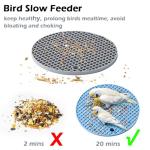 Interactive Bird Foraging Toys - 2 Pack