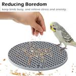 Interactive Bird Foraging Toys - 2 Pack