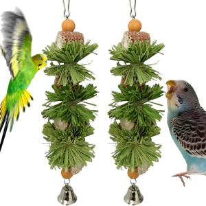 2 Pack Bird Toys with Chewing Bells