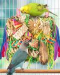 Colorful Cockatiel & Budgie Foraging Toys