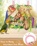 Colorful Cockatiel & Budgie Foraging Toys