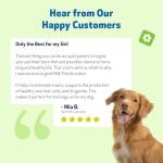 Organic Milk Thistle for Dogs - Liver Support Supplement