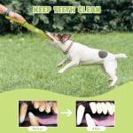 Interactive Squeaky Dog Toy for Boredom Relief