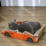 Car-Shape Cat Scratcher with Catnip, Red