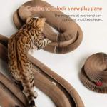 Fliti Magic Organ Cat Scratcher Toy