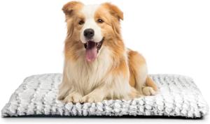 Self-Heating Pet Pad for Dogs and Cats
