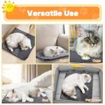 Angelpet Heated Pet Pad for Dogs and Cats