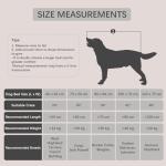 Jaspuriea Plush Medium Dog Bed - Anti Anxiety