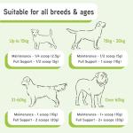 ProJoint Anti-Inflammatory Dog Joint Supplement 500g