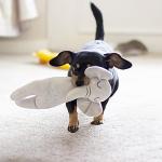 Rosewood Eco Friendly Plush Elephant Dog Toy with Squeaker