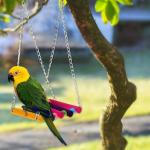 Colorful Wooden Parrot Swing Set - 2 Pack