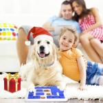 Interactive Dog Puzzle Toy for Boredom Relief