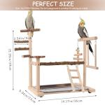 Wooden Bird Play Stand with Ladder and Swing