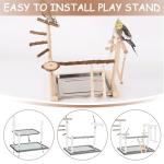 Wooden Bird Play Stand with Ladder and Swing