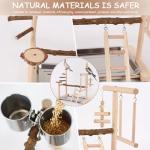 Wooden Bird Play Stand with Ladder and Swing