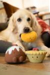 Petface Christmas Pudding Squeaky Dog Toy