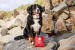 Ultimate Dog First Aid Kit – 56 Essential Pieces