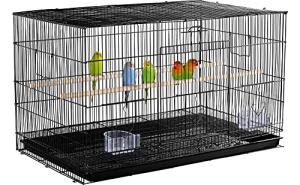 Spacious Bird Cage for Small Birds and Parrots