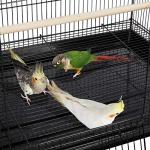 Spacious Bird Cage for Small Birds and Parrots
