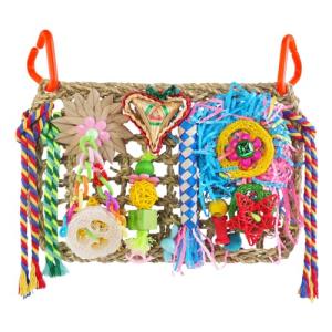 Colorful Foraging Toys for Budgies and Parrots