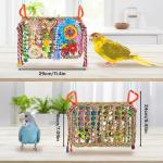 Colorful Foraging Toys for Budgies and Parrots