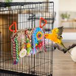 Colorful Foraging Toys for Budgies and Parrots