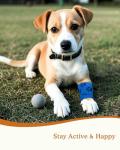 Self-Adhesive Vet Bandage Wrap for Pets