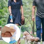 7-Piece Puppy Teething & Chew Toy Set