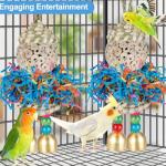 Colorful Hanging Foraging Toys for Small Birds
