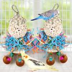 Colorful Hanging Foraging Toys for Small Birds