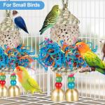 Colorful Hanging Foraging Toys for Small Birds