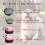 Recordable Dog Buttons with Stickers - 4 Pack