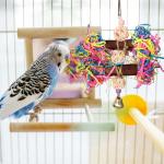 Colorful Crinkle Paper Strips for Bird Toys