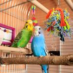 Colorful Crinkle Paper Strips for Bird Toys