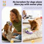 Kito Lee Soft Squeaky Plush Dog Toy