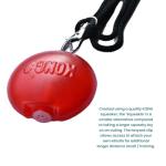 KONG Dog Squeaker with Lanyard for Training