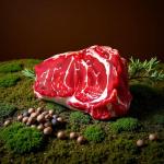 Plush Squeaky Steak Toy for Small Dogs