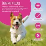 Dog Training Whistle with Lanyard for Recall