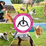 Dog Training Whistle with Lanyard for Recall