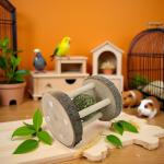 Natural Wooden Chew Toy for Small Pets